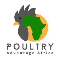 poultryaa.co.za